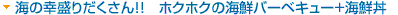 C̍K肾II@zNzN̊CNo[xL[